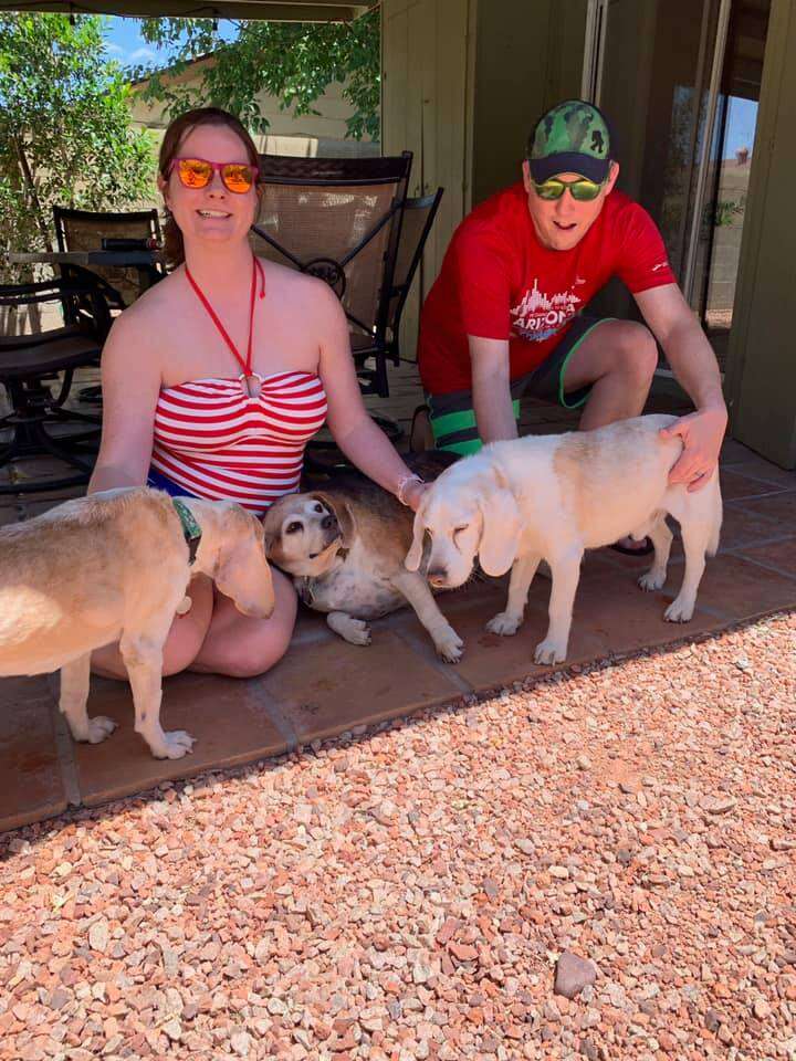 Obese beagle found in Arizona kill shelter