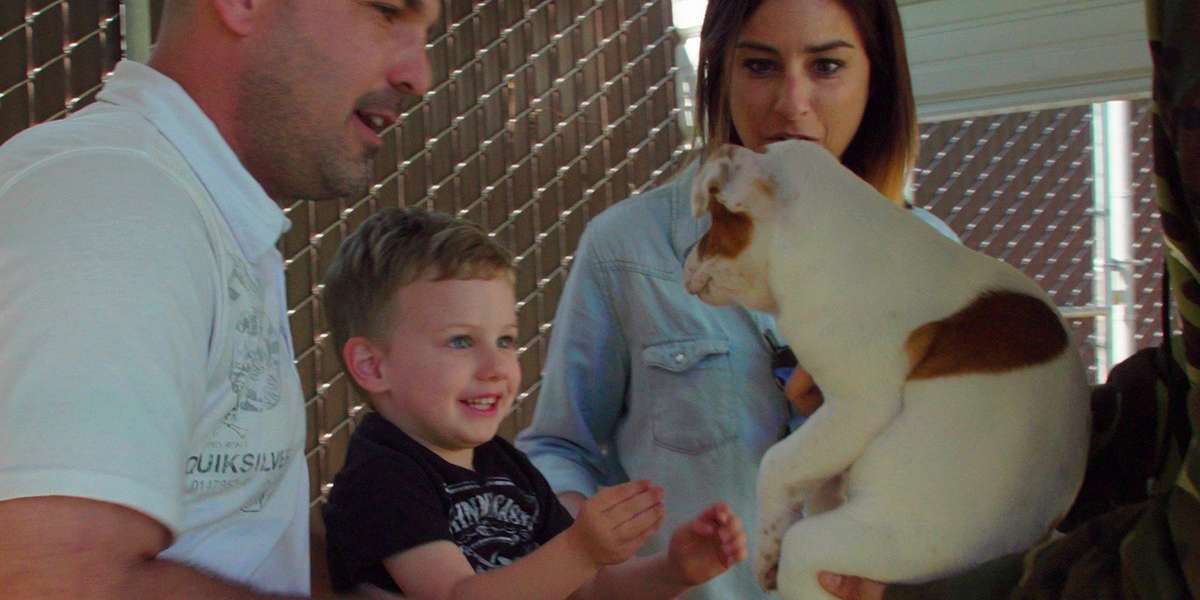 Shelter Pittie And All Of Her Puppies Find The Perfect Homes - Videos ...