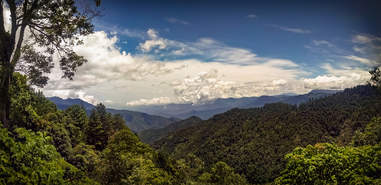 San Jose del Pacifico