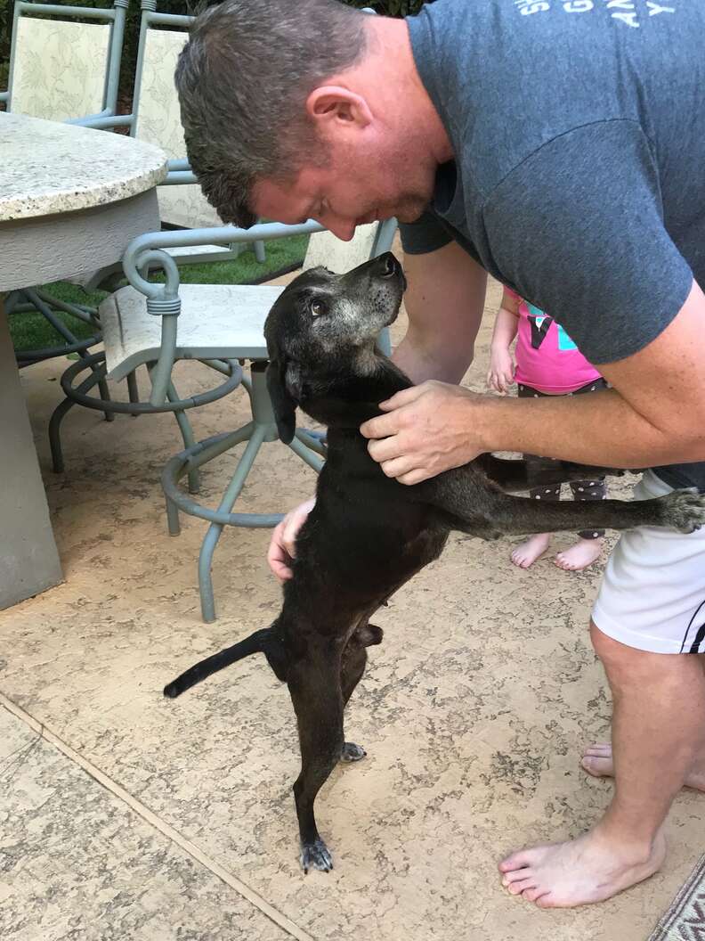 Foster dog standing up to give kisses