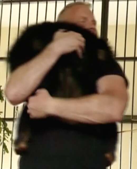 Chimp hugs rescuer