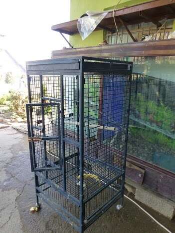 Cage where zoo chimp lived in Iraq before rescue
