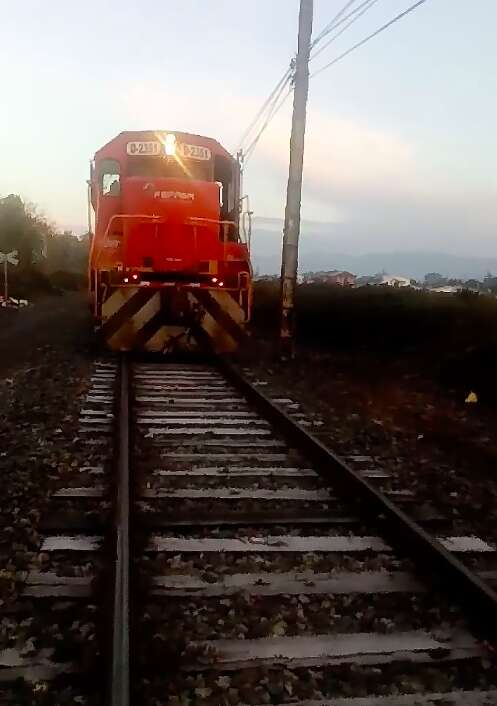 Train driver spots dog chained to tracks in Chile