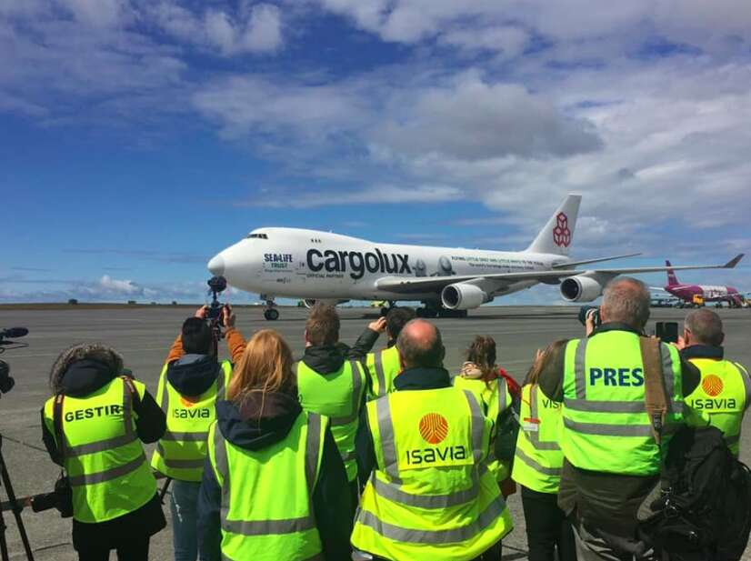 Belugas' airplane lands in Iceland