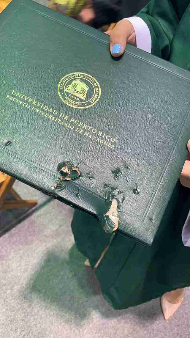 dog chewed diploma