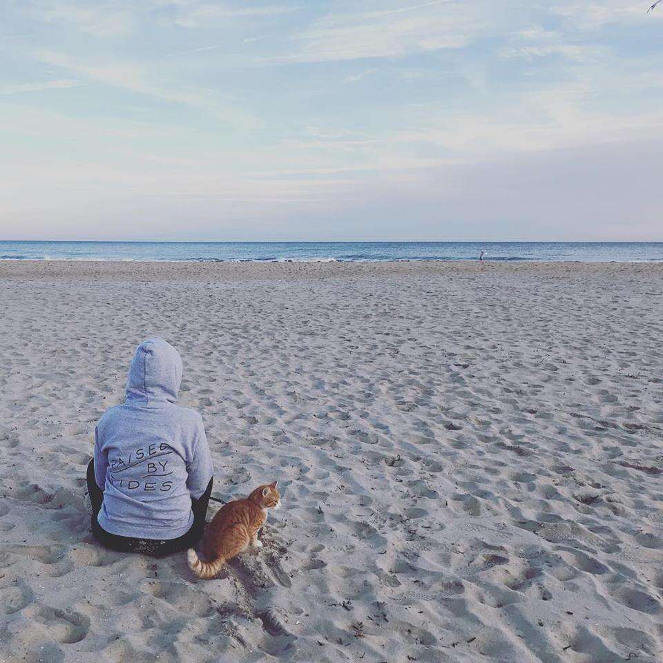 pip the beach cat