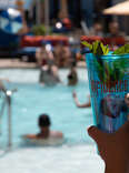Everything You Need to Experience at The LINQ Las Vegas 
