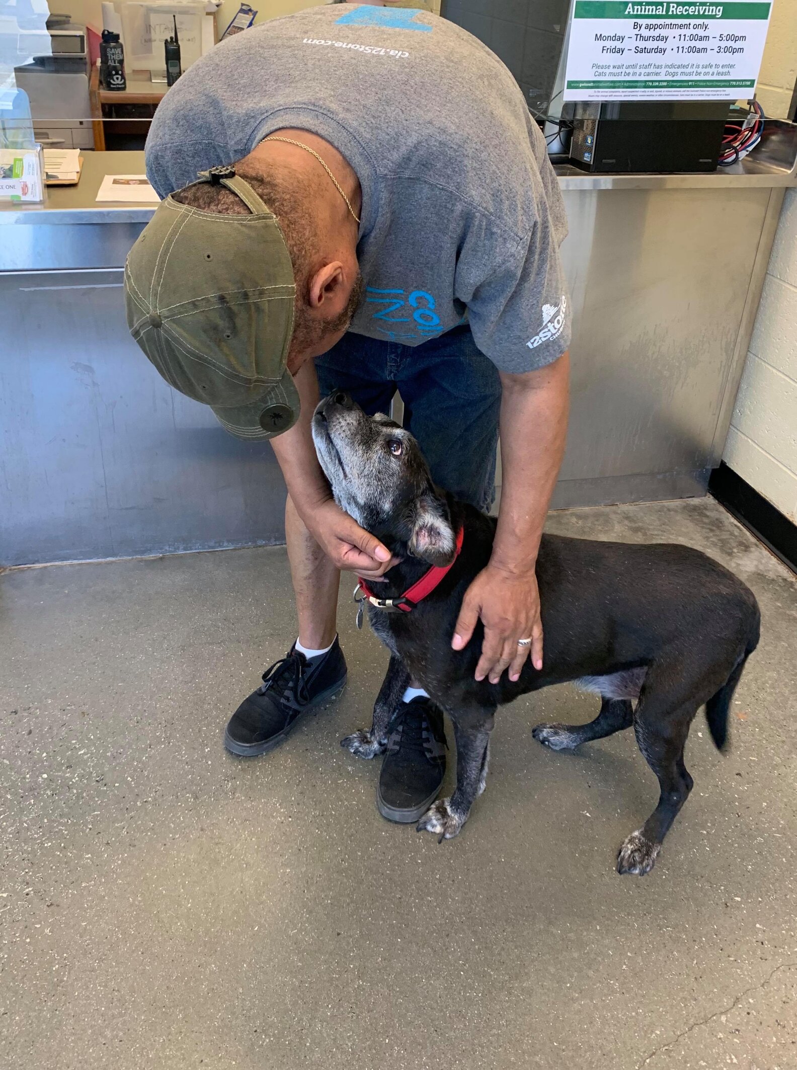 Community Rallies To Help Reunite Homeless Man With His Dog - The Dodo