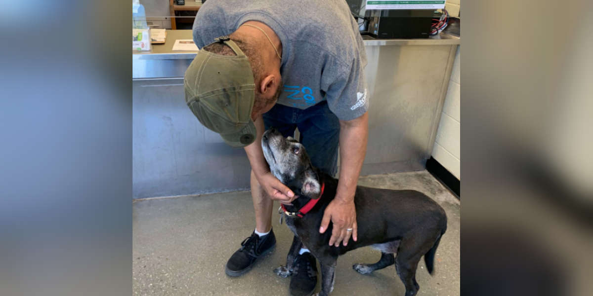 Community Rallies To Help Reunite Homeless Man With His Dog - The Dodo