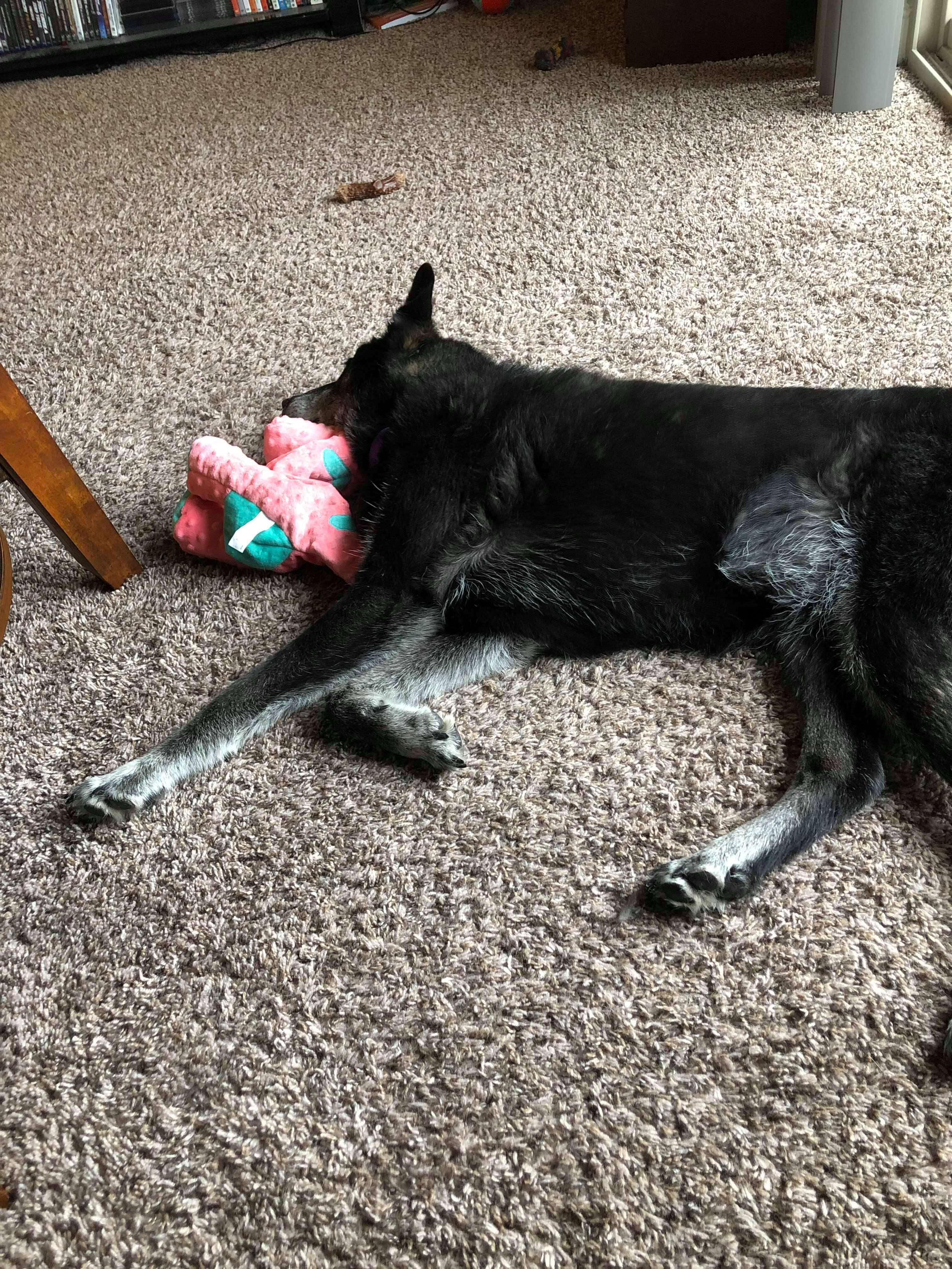 Kairi snuggles her Dino toy