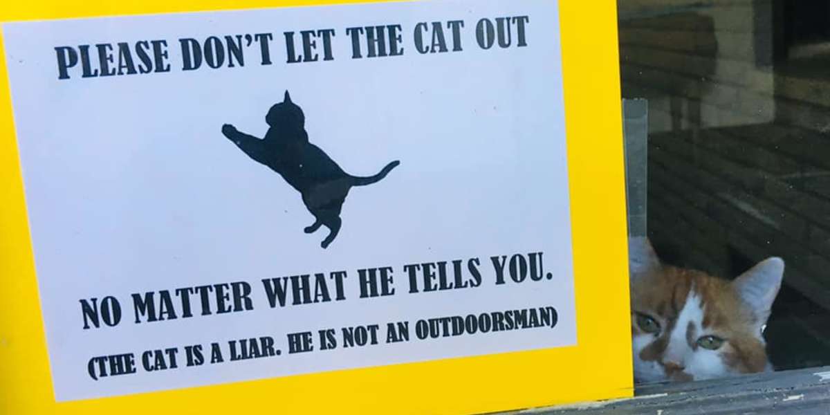 Family Puts Up Sign To Stop Cat From Going Outside The Dodo