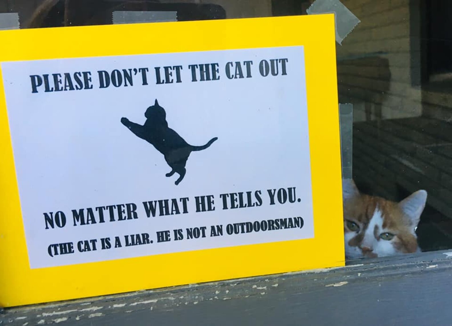 Family Puts Up Sign To Stop Cat From Going Outside The Dodo