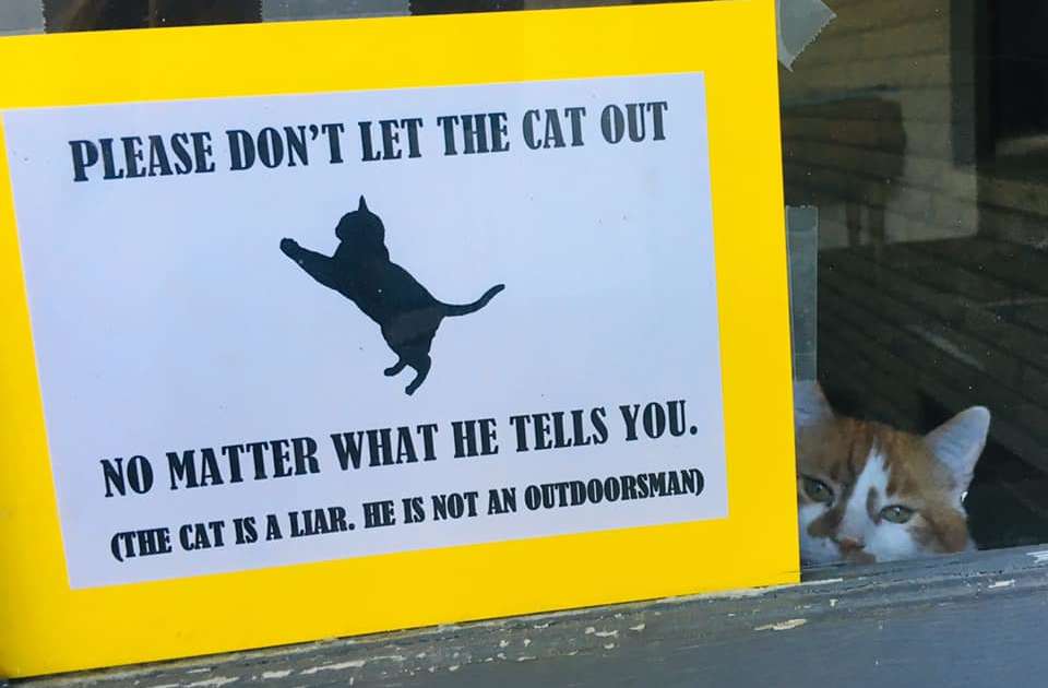 Family Puts Up Sign To Stop Cat From Going Outside The Dodo