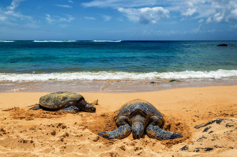 Beach Shaved Couples - Best Beach Towns in the US From the East Coast to the West Coast - Thrillist