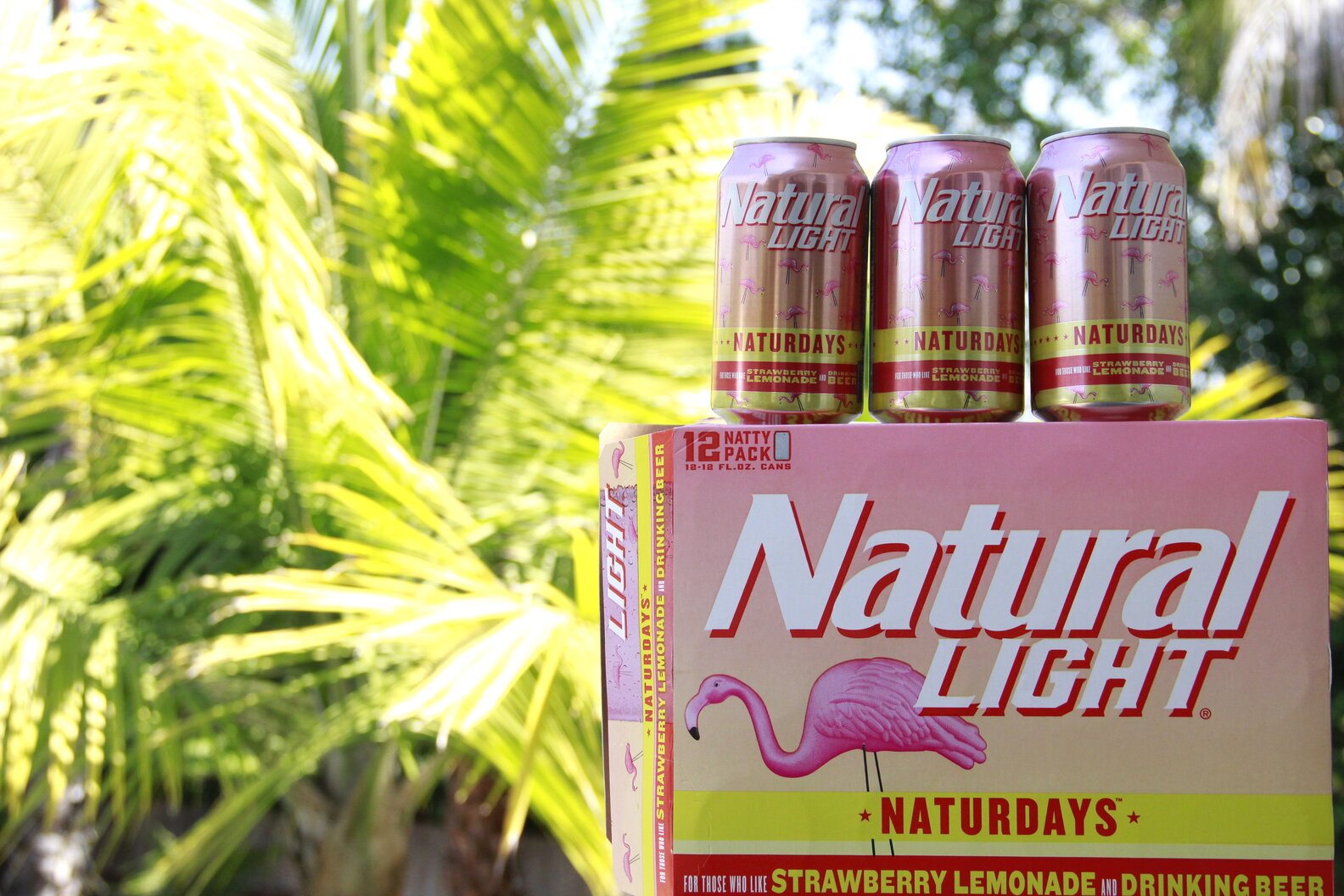 Natural Light Naturdays Review: Natty Light's Perfect New Summer Beer ...