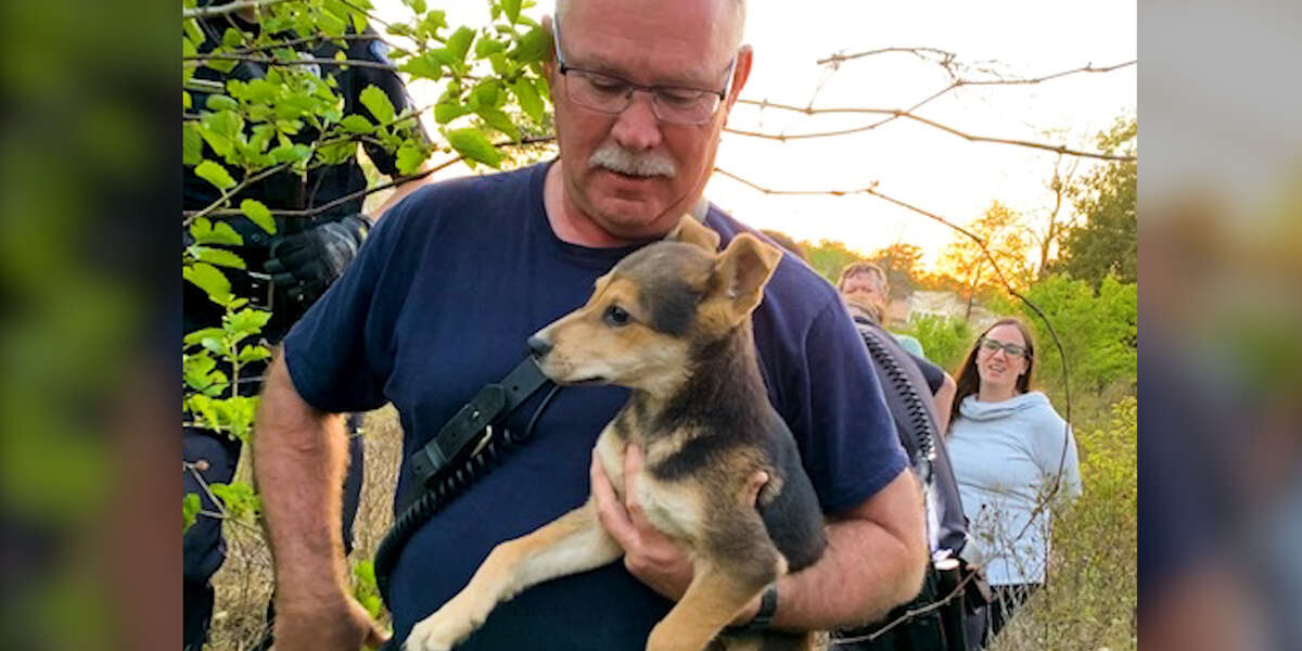 Dog Reunited With Firefighter Who Saved Him - Videos - The Dodo