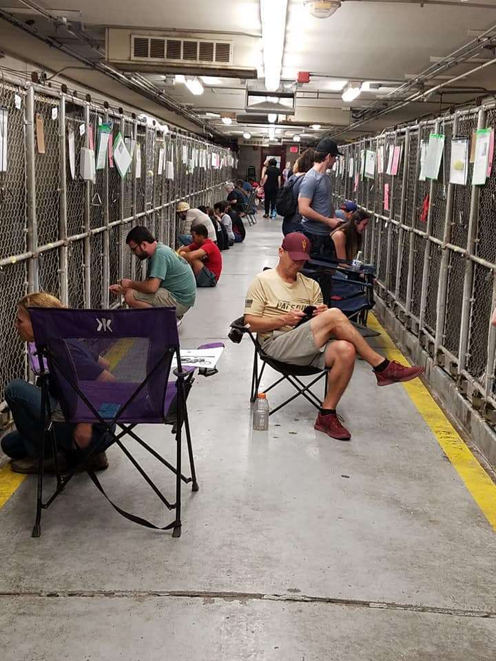 People comforting shelter dogs scared of July 4 fireworks