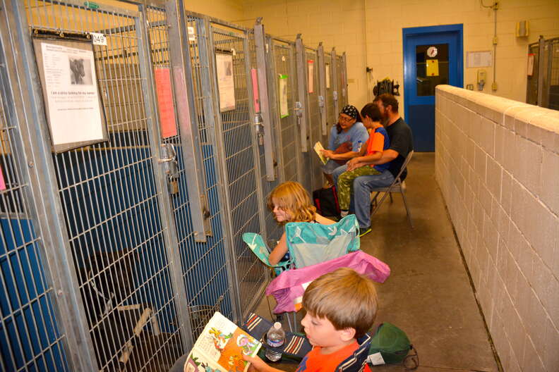 People comforting shelter dogs scared of July 4 fireworks