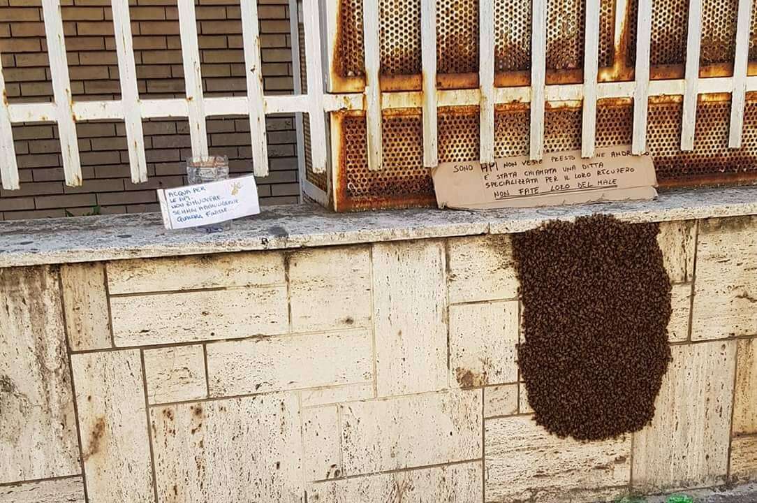 Beehive treated with kindness in Southern Italy