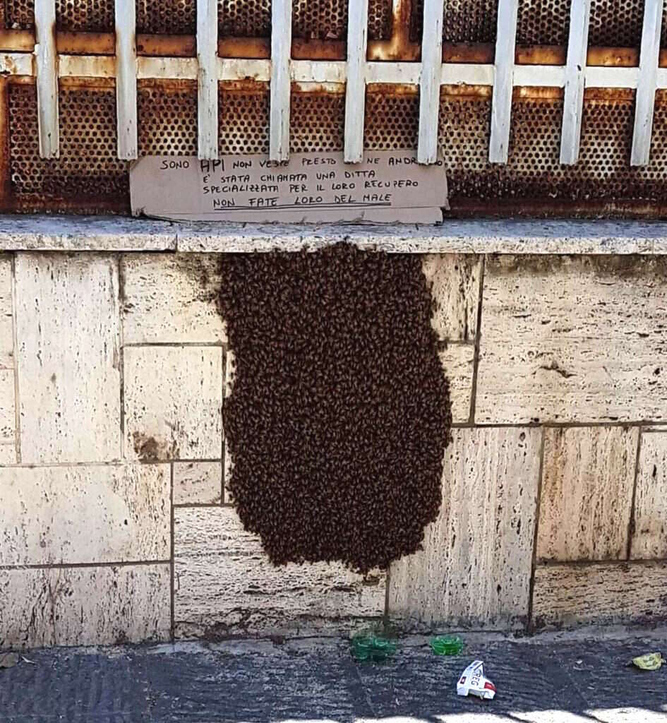 Beehive treated with kindness outside of Naples, Italy