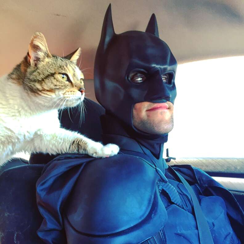 Batman transports homeless animals