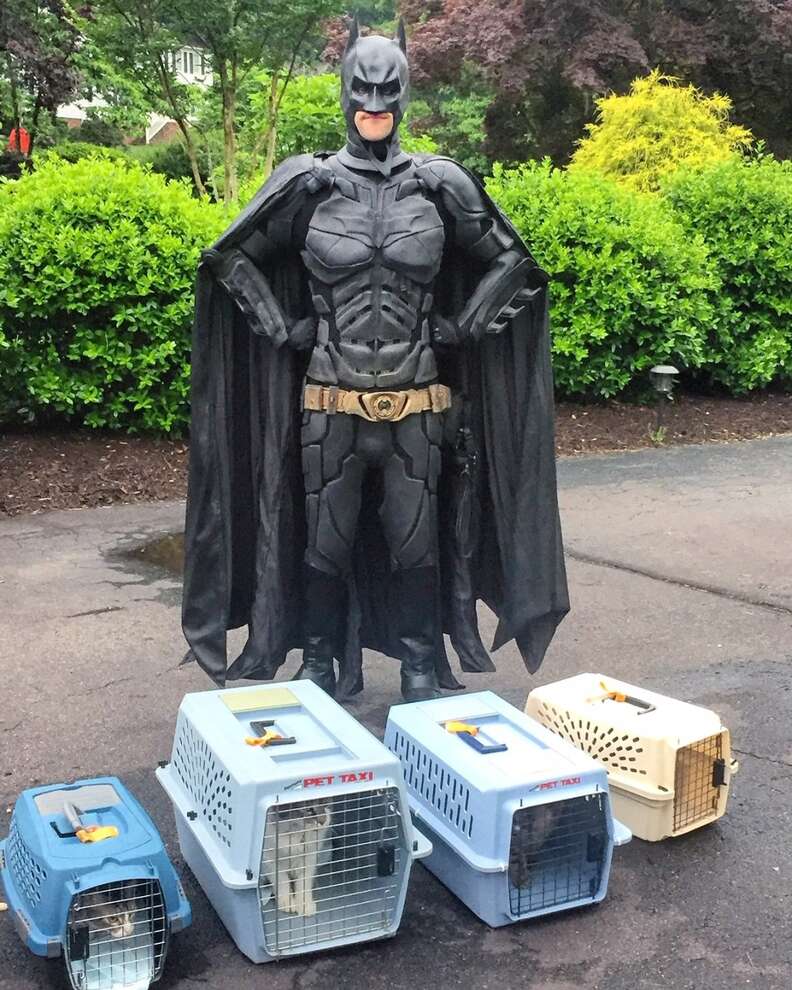Batman transports shelter dogs to their homes