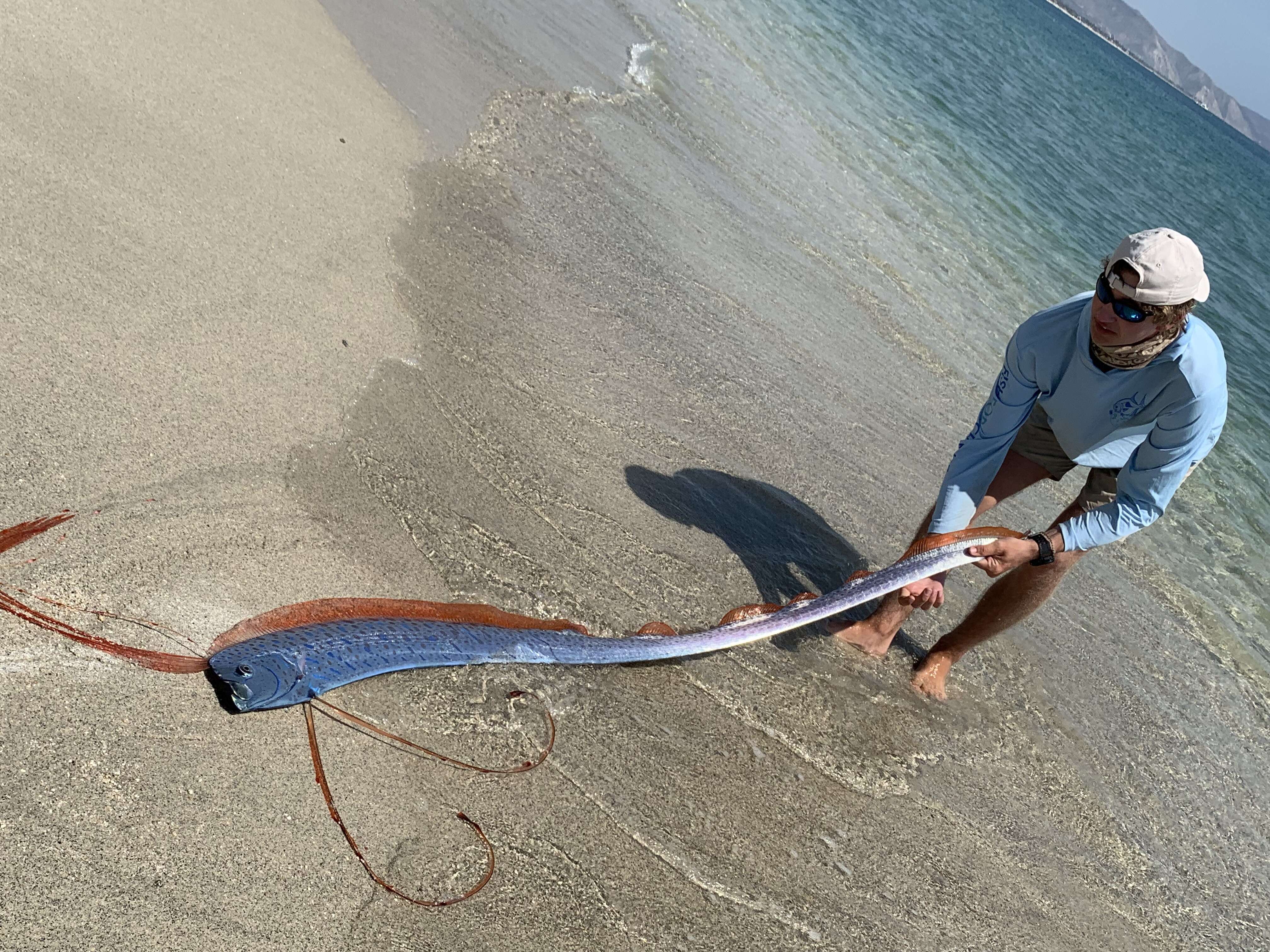 Fishermen find oarfish on Mexico beach
