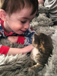 Little boy with foster kitten