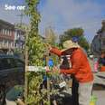 Restoring Trees and Community in San Francisco