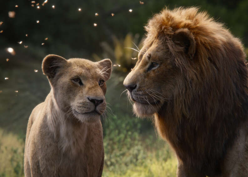 lion king