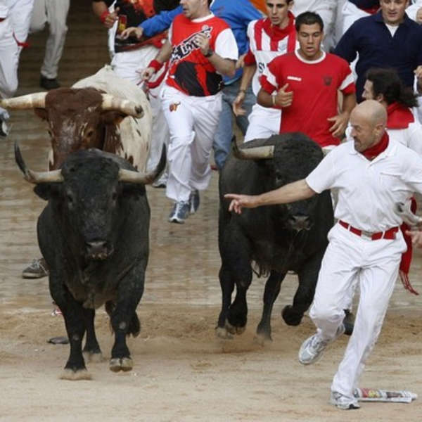 Toro's Running of the Bulls: A Restaurant in Boston, MA - Thrillist