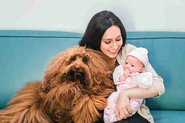 Ils Voient Leur Chien Entrer Dans La Chambre De Leur Bebe Ce Que Fait Le Toutou Les Marque Pour Toujours Societe Wamiz