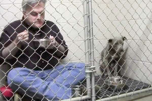 Vet Eats In Rescue Dog's Cage To Make Her Feel Safe 