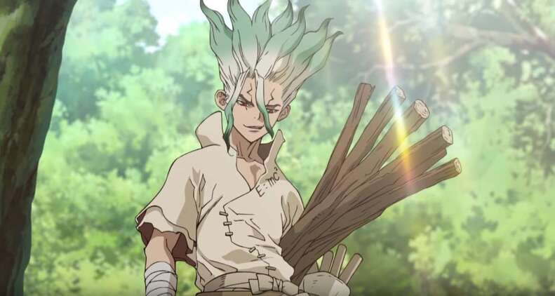 dr stone