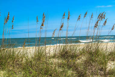 pawleys island