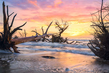 edisto island botany bay bones beach