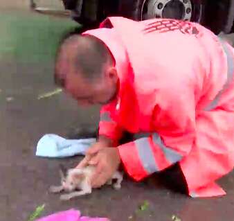 Road worker saves drowning kitten's life in Istanbul