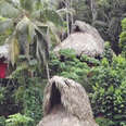 Stay in This Treehouse Village That Gives You a Birdseye View of the Dominican Republic