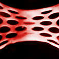 This “Beating” Heart Patch Could Repair Broken Hearts