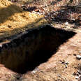 How Natural Burials Help the Planet