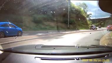 klitten on highway