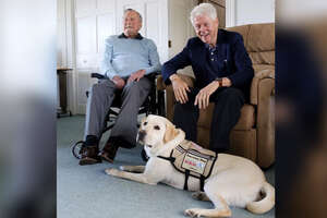 Former President's Service Dog Is SO Excited To See His Mom