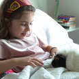 Little Girl And Guinea Pig Are The Cutest Pen Pals