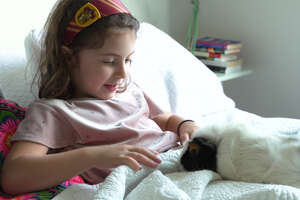 Little Girl And Guinea Pig Are The Cutest Pen Pals