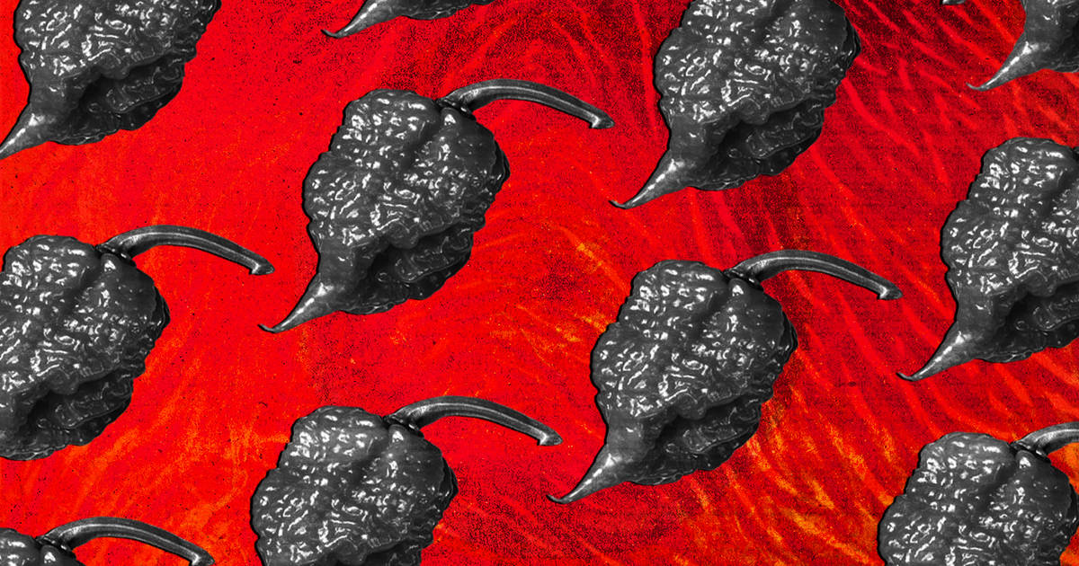 Carolina Reaper History: How Ed Currie Grew the World's Hottest