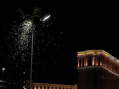 las vegas grasshoppers