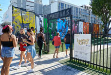 Actually Cool Things to Do in Miami Right Now