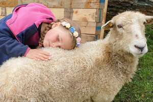 Girl And Her Sheep Have The Most Perfect Friendship