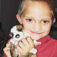 Little Boy And His Foster Puppy Both Have Cleft Palates 
