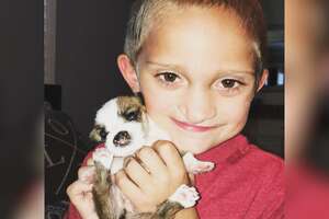 Little Boy And His Foster Puppy Both Have Cleft Palates 